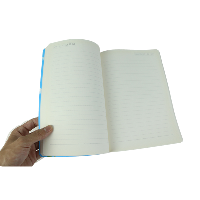 Student Notebooks, Question Books